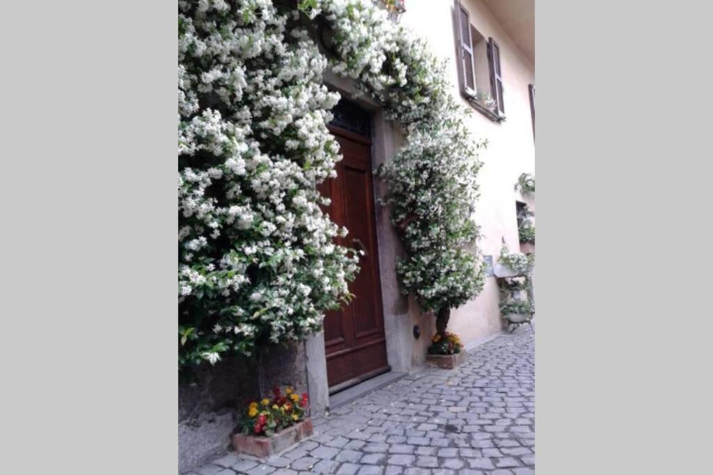 Villa Il Gelsomino Di Isia Orvieto Exterior foto