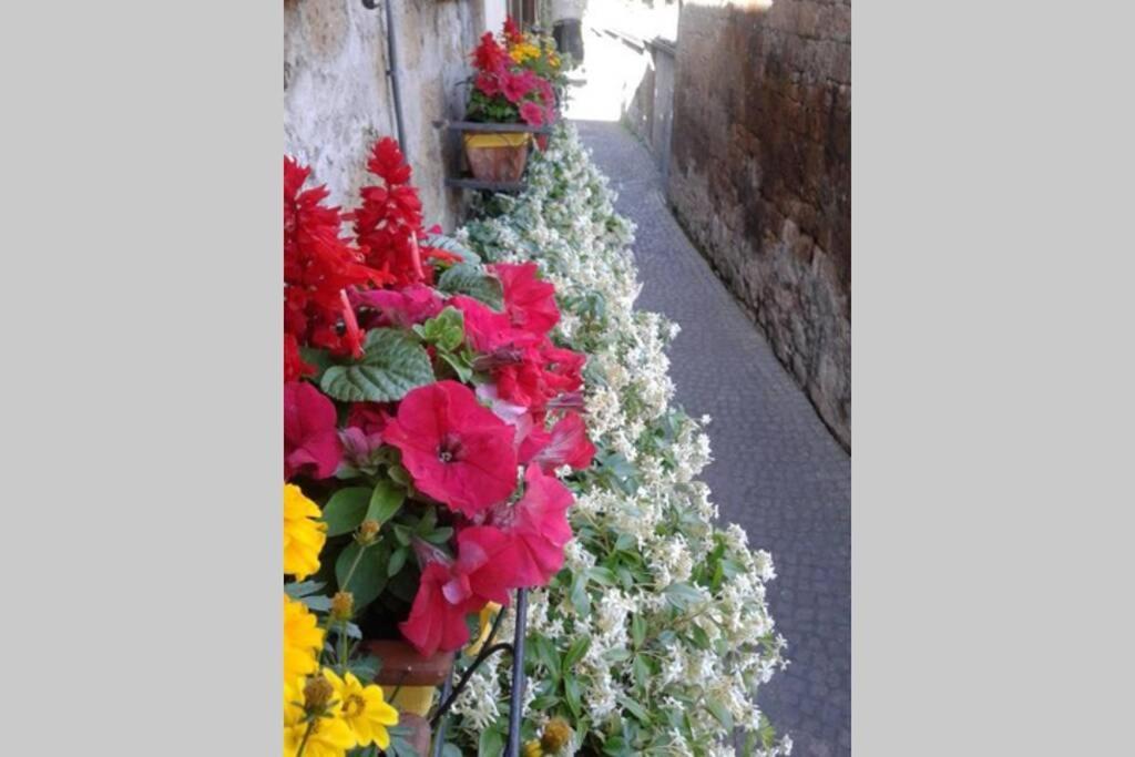Villa Il Gelsomino Di Isia Orvieto Exterior foto